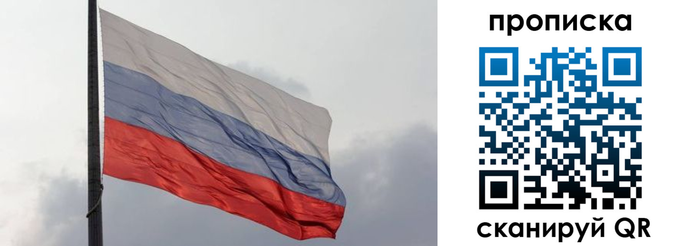 прописка в квартире в Светлогорске