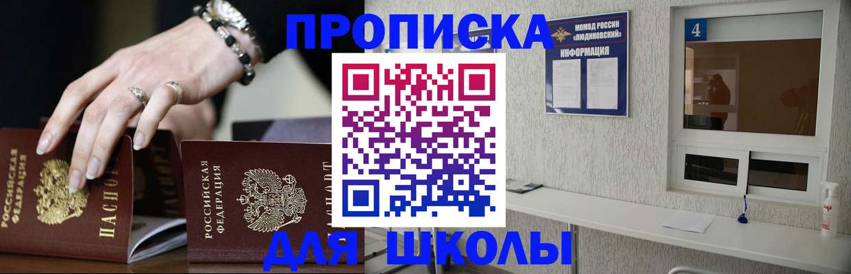 пропишу в квартире в Светлогорске